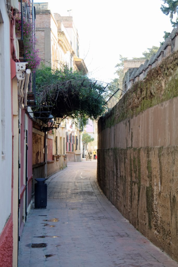 Rue étroite avec un mur en pierre et une végétation au-dessus, sous un ciel clair.