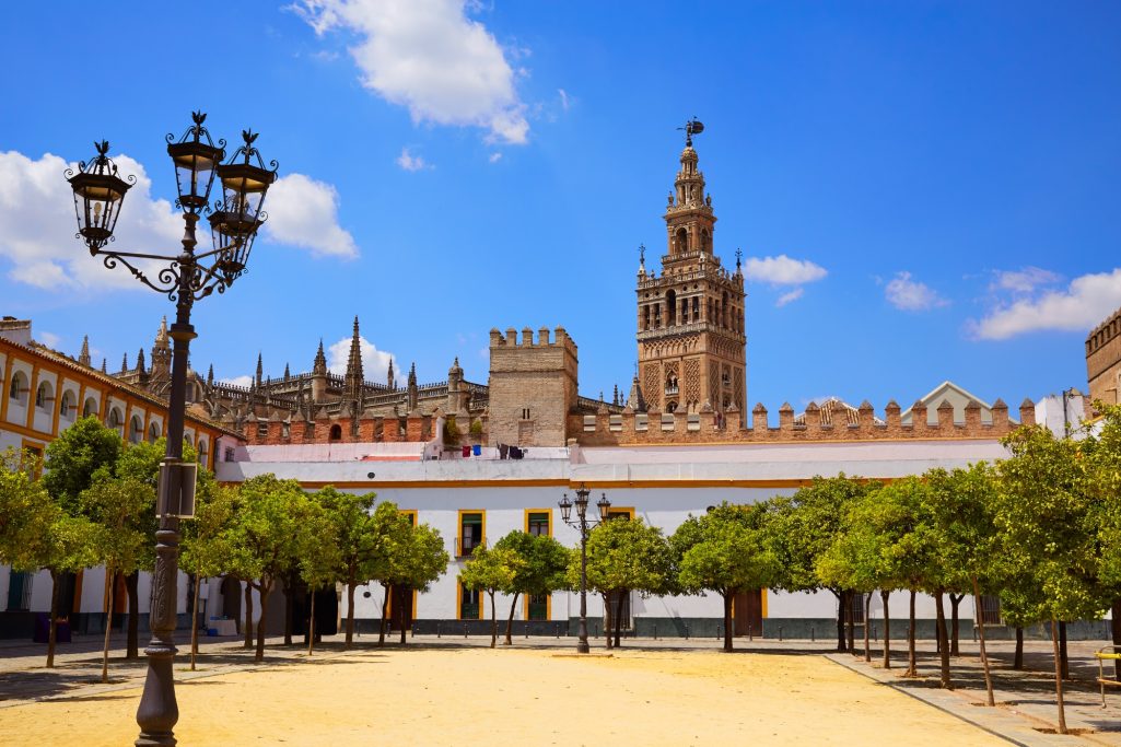 Vue d'une place ensoleillée avec des arbres, la Giralda de Séville en arrière-plan.